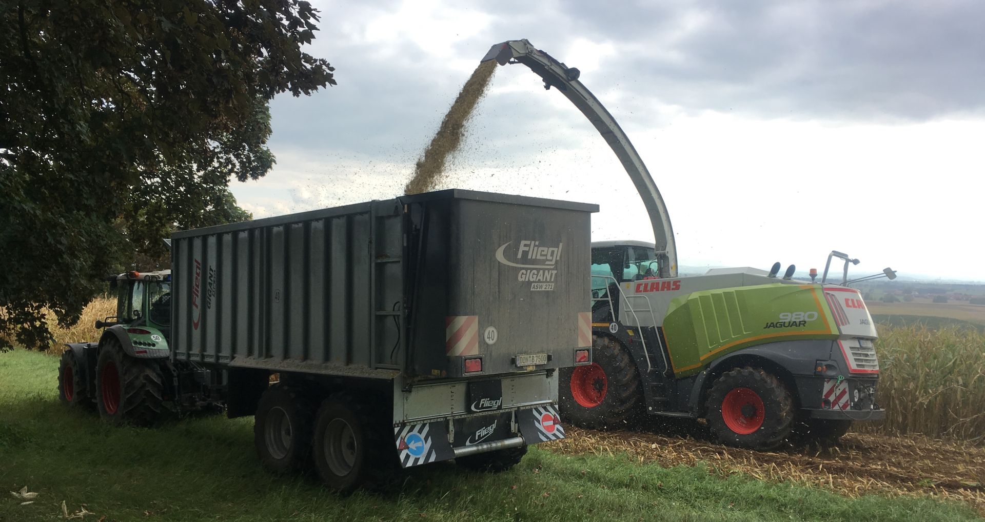 Häckselsilage